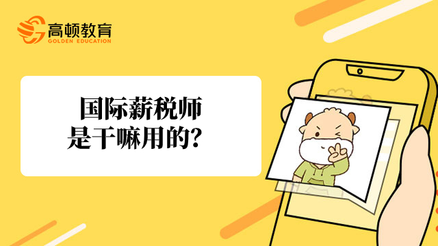 国际薪税师是干嘛用的?考这个证书有什么好处?