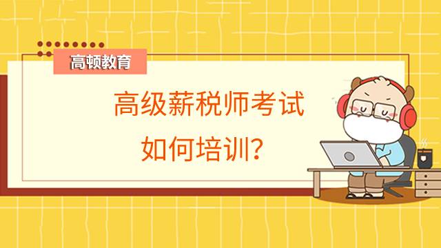 高级薪税师考试如何培训？培训费用多少？